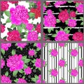 Pink peony.Set of Seamless patterns with beautiful realistic flowers on a white,black, striped background. Royalty Free Stock Photo