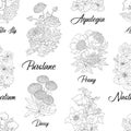 Seamless pattern with Purslane, Peony, Aquilegia, Daisy, Calla, Lily, Nasturtium flower.