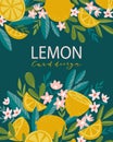 Tropical summer fruit poster with place for text. Blooming citrus tree in hand drawn style.