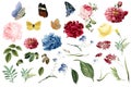 Various romantic flower and leaf illustrations