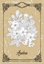 Vector black and white drawing of azalea flower on texture background