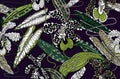 Exotic orchids and tropical leaves