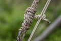 Basic survival knot tying skills