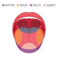 basic taste areas on human tongue, sour, sweet, bitter and salty. Royalty Free Stock Photo