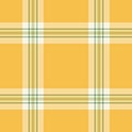 Basic texture background check, customer vector seamless tartan. Intricate plaid textile pattern fabric in amber and lime colors Royalty Free Stock Photo