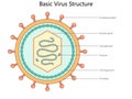 Basic Virus Structure structure diagram medical Royalty Free Stock Photo