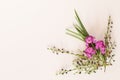 Basic white flat lay background image featuring purple wallflowers and boronia stems and long green leaves with copy space