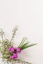 Basic white flat lay background image featuring purple wallflowers and boronia stems and long green leaves with copy space