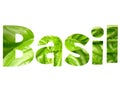 Basil Royalty Free Stock Photo