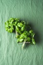 Basil bunch on a green background. Aromatic herbs. Homegrown basil