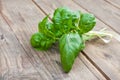 Basil bunch on wooden table Royalty Free Stock Photo