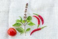 Basil chili and tomato on white fabric background Royalty Free Stock Photo