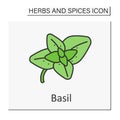 Basil color icon Royalty Free Stock Photo