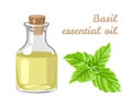 Basil essential oil. Aroma oil in a glass bottle and leaves of fresh green basil