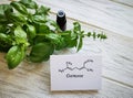 Basil essential oil with chemical formula of ocimene (a component of essential oil). Healthy lifestyle, spa concept.