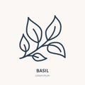 Basil flat line icon. Medicinal plant leaves vector illustration. Thin sign for herbal medicine, tree branch logo