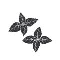 Basil glyph icon.