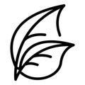 Basil herb icon, outline style