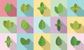 Basil icons set flat vector. Agriculture aroma leaf