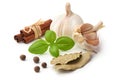 Basil leaf with garlic and cinnamon, close-up, isolated on white background Royalty Free Stock Photo