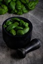 Basil leaves in a black marble mortar Royalty Free Stock Photo