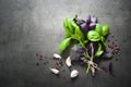 Basil leaves, garlic and pepper Royalty Free Stock Photo