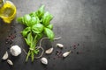 Basil leaves, garlic and pepper Royalty Free Stock Photo