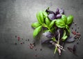 Basil leaves, garlic and pepper Royalty Free Stock Photo