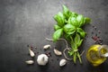 Basil leaves, garlic and pepper Royalty Free Stock Photo