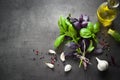 Basil leaves, garlic, pepper and oil Royalty Free Stock Photo