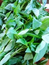 basil leaves give a distinctive aroma to the dish