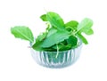 Basil leaves herb pile in bowl glass on white background Royalty Free Stock Photo