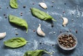 Basil Leaves, pepper and garlic on concrete background. Royalty Free Stock Photo