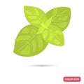 Basil leaves spice color flat icon