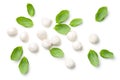 Basil and Mozzarella Isolated on White Background