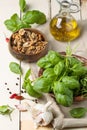 Basil, nuts and olive oil Royalty Free Stock Photo