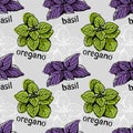 Basil and oregano pattern Royalty Free Stock Photo