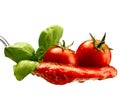 Basil pasta and tomato sauce Royalty Free Stock Photo