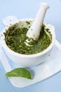 Basil pesto