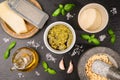 Basil Pesto ingredients on a slate slab Royalty Free Stock Photo