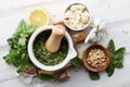 Basil pesto sauce and main ingredients Royalty Free Stock Photo