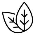 Basil plant leaf icon, outline style