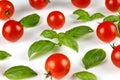 Basil and tomato cherry. Ripe red cherry tomatos and basil on white background Royalty Free Stock Photo