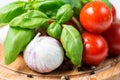 Basil tomato garlic and corn pepper Royalty Free Stock Photo