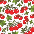 Basil and tomato seamless pattern.