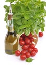 Basil, tomatoes and olive oil Royalty Free Stock Photo