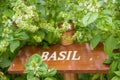 Basil wooden sign