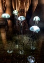 Basilica Cistern Ancient Columns and Modern Jellyfish in Istanbul, Turkey.