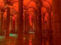 Basilica Cistern Ancient Columns and Modern Sculptures in Istanbul, Turkey.