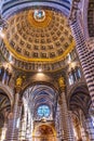 Basilica Golden Dome Cathedral Church Siena Italy.